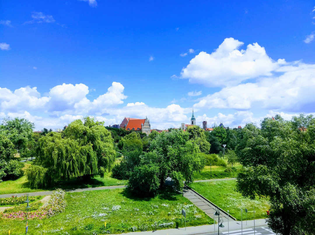 Copernicus Torun Hotel主图