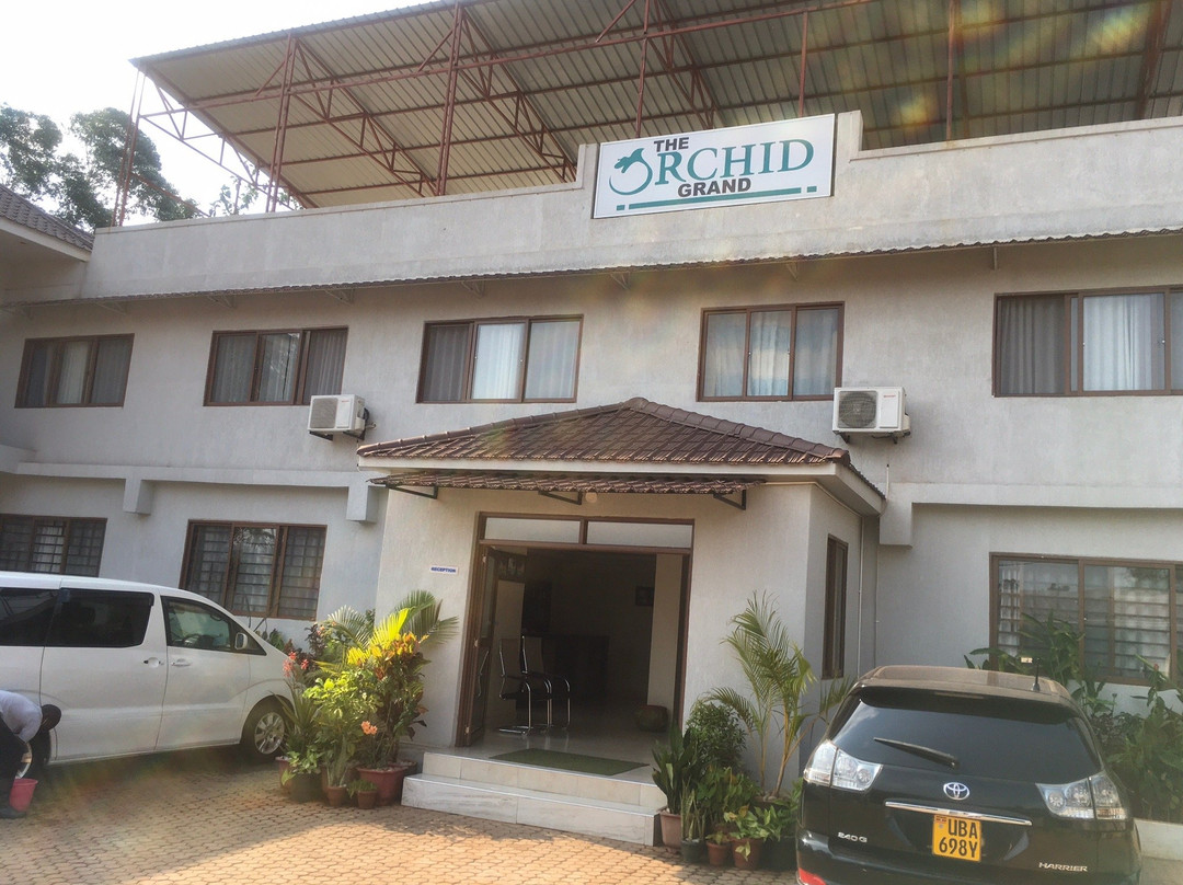 The Orchid Grand主图