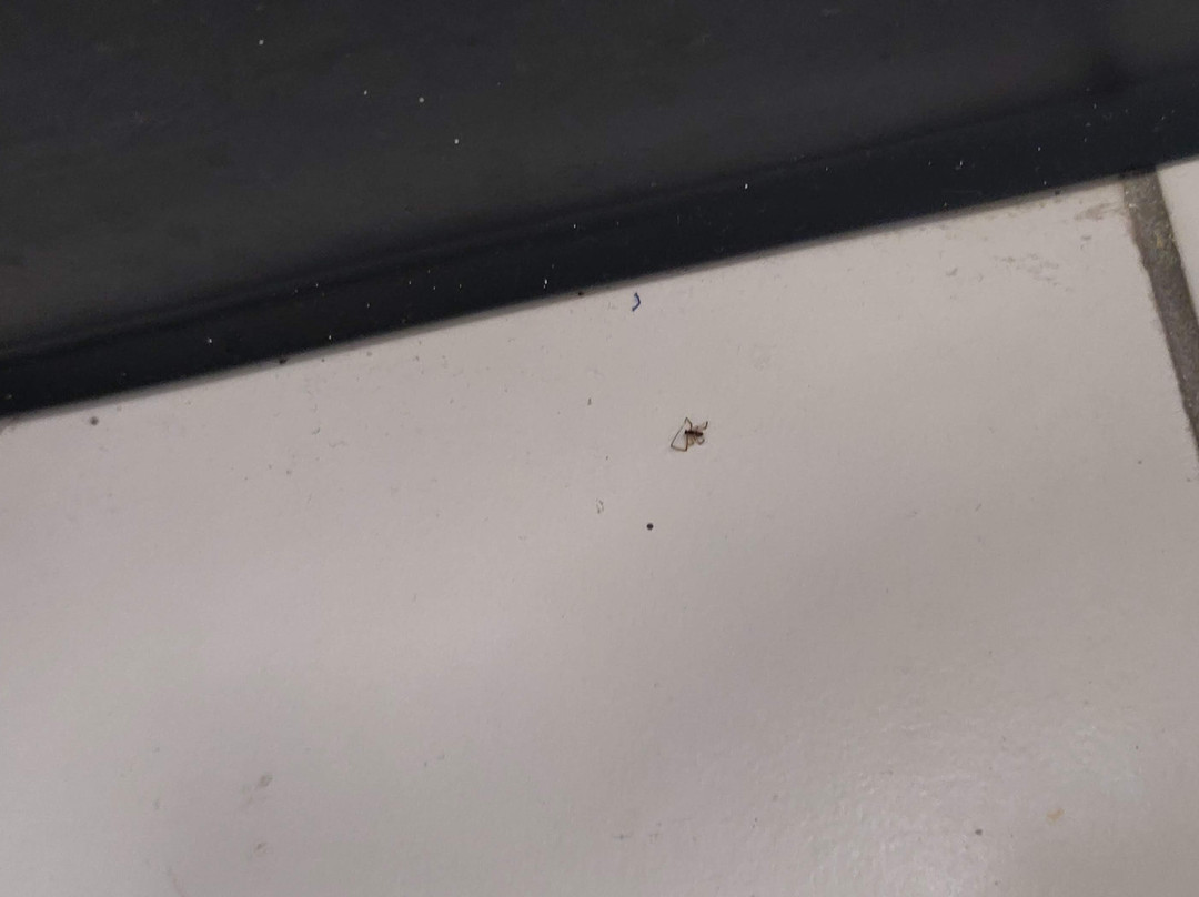 Best Inn and Suites Buena Park主图