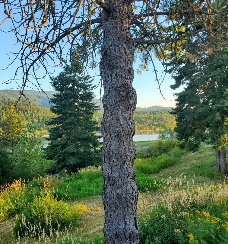 Eagle's Nest Motel主图