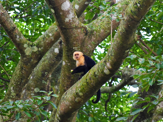 Café San Luis-蒙特沃德必去景点