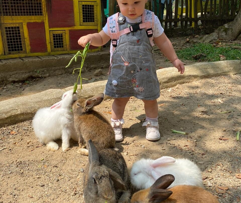 Royal Safari Garden Resort & Convention主图