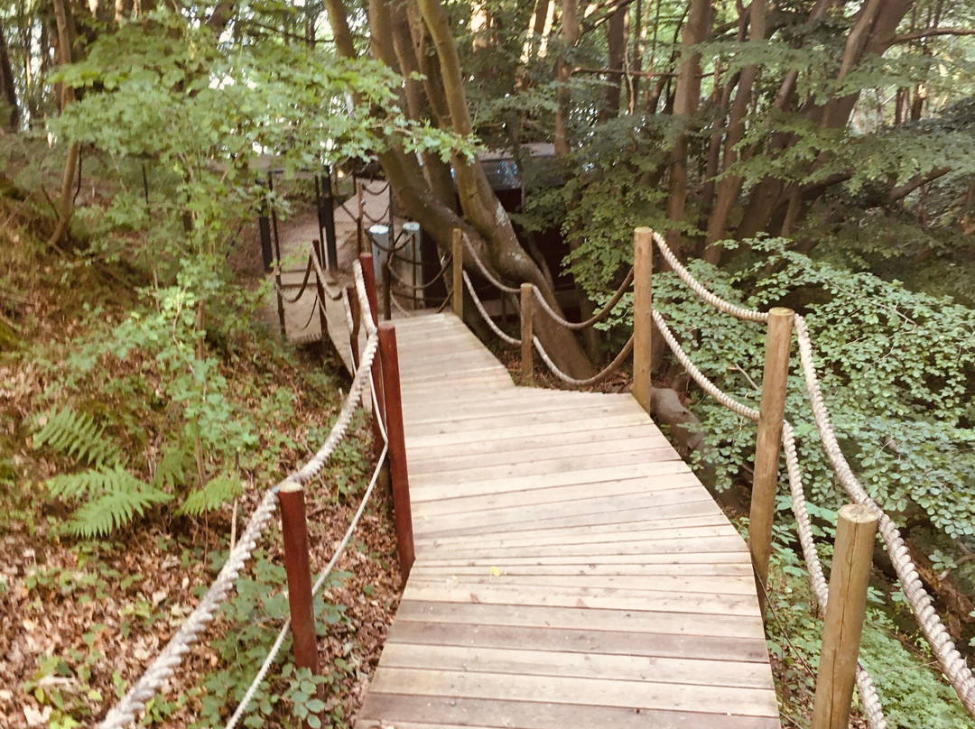 Rosevia Resort & SPA主图