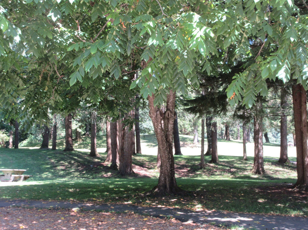 Centennial Park Disc Golf Course-米逊必去景点