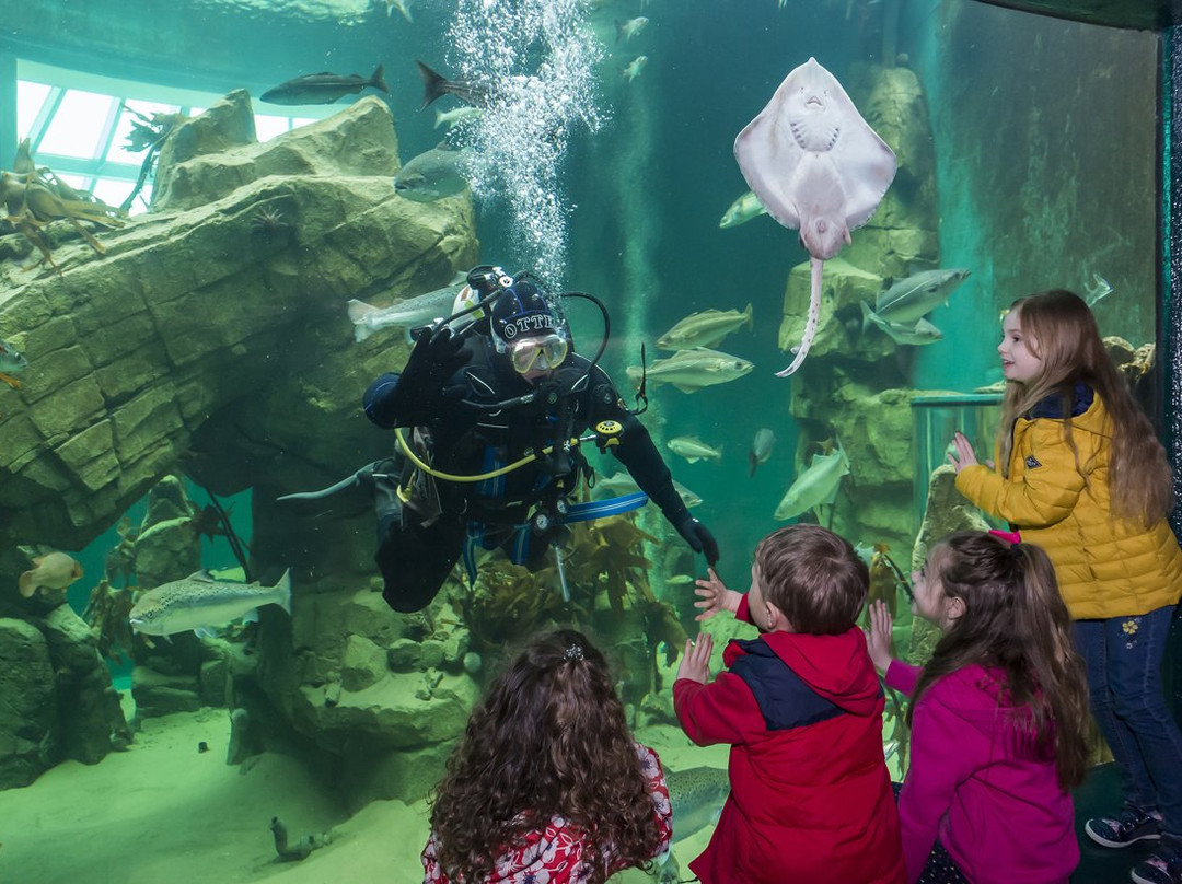 Macduff Marine Aquarium-Macduff必去景点
