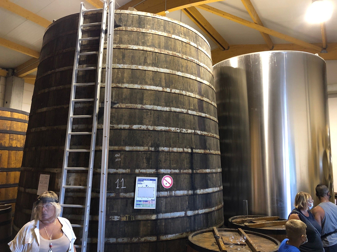 Les Vignerons d'Oleron-Saint-Pierre-d'Oleron必去景点