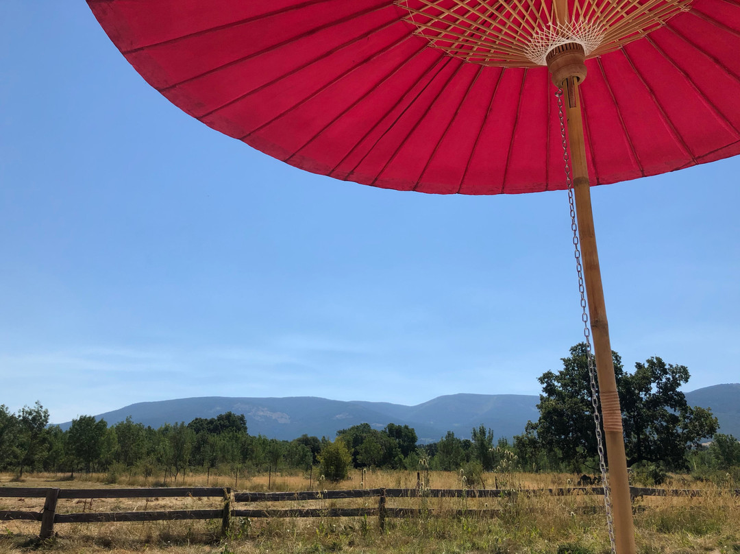 Hotel Finca Fuente Techada主图