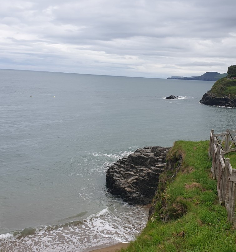 Leaping Dolphin-Aberporth必去景点