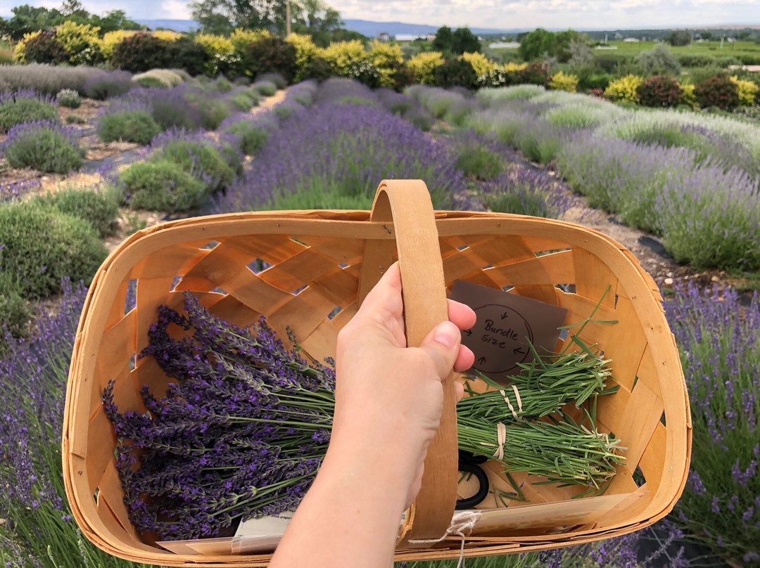 Sage Creations Organic Farm-Palisade必去景点