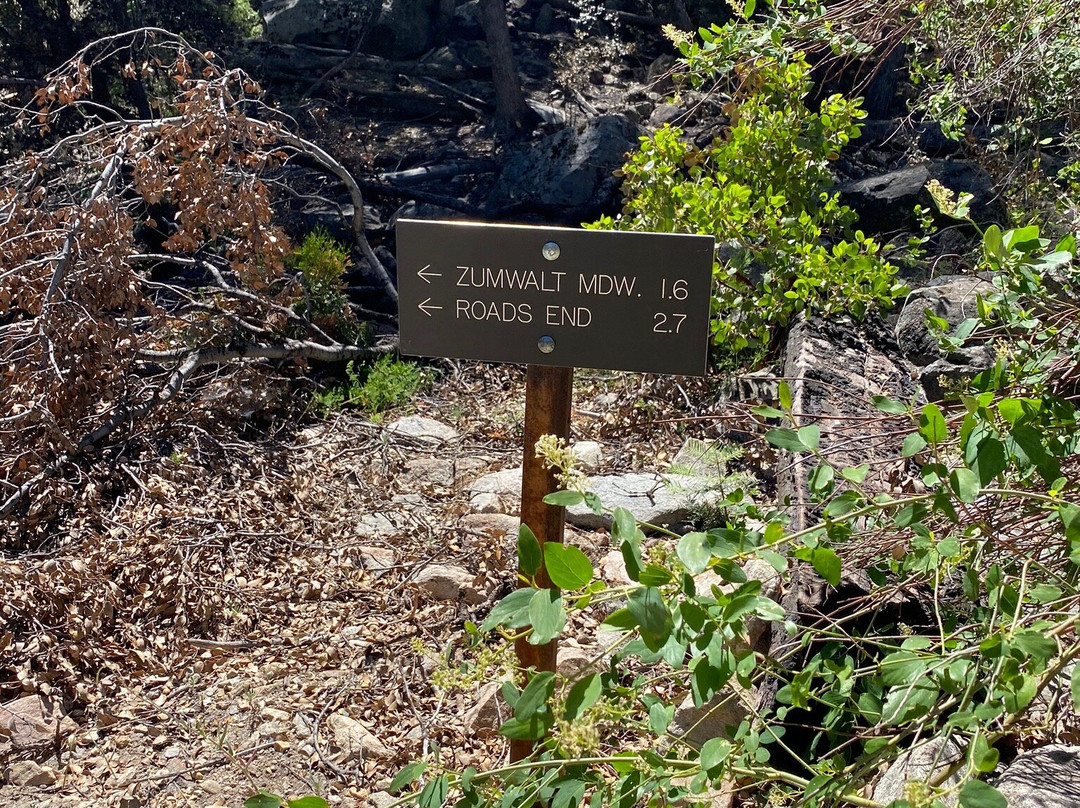 Roaring River Falls-红杉&国王峡谷国家公园必去景点