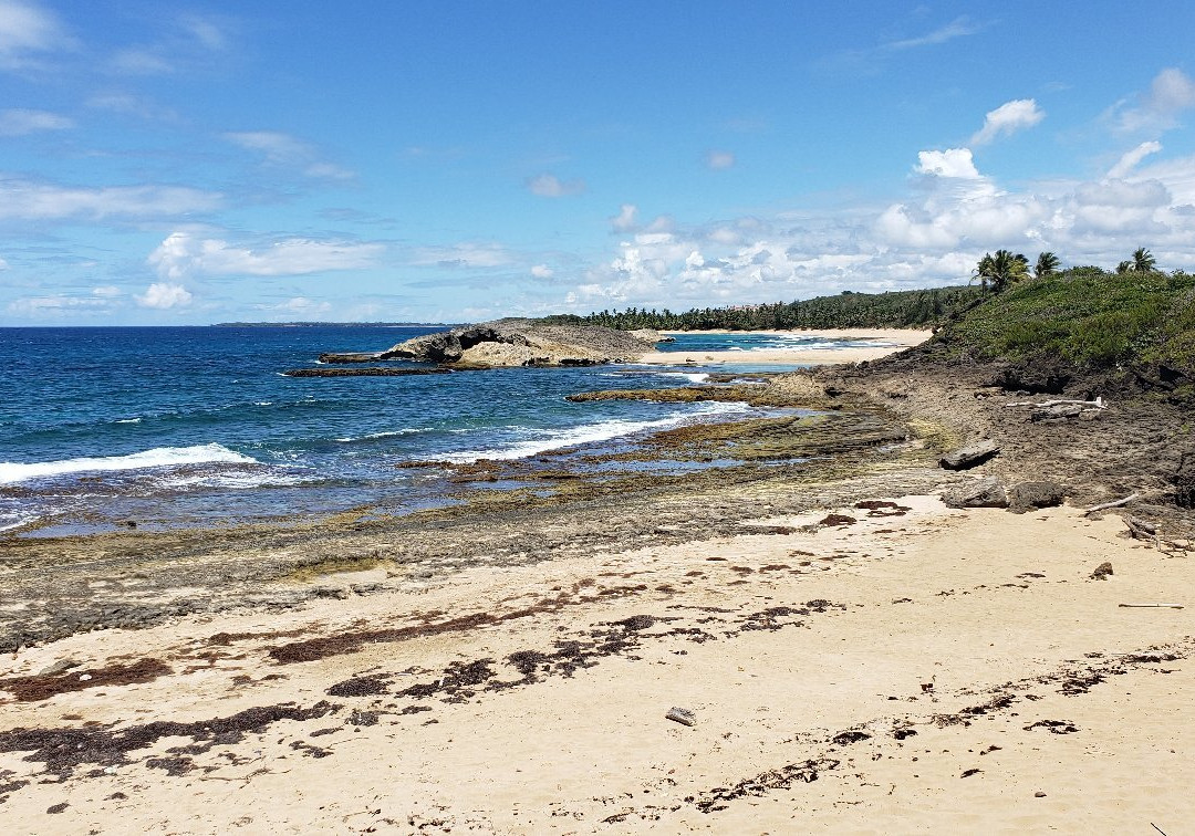 Playa La Cueva Las Golondrinas-Manati必去景点