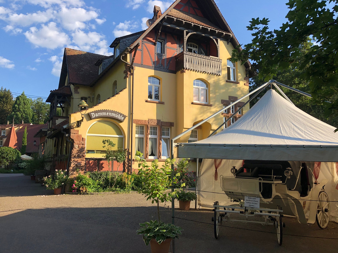 Hotel Dammenmühle主图