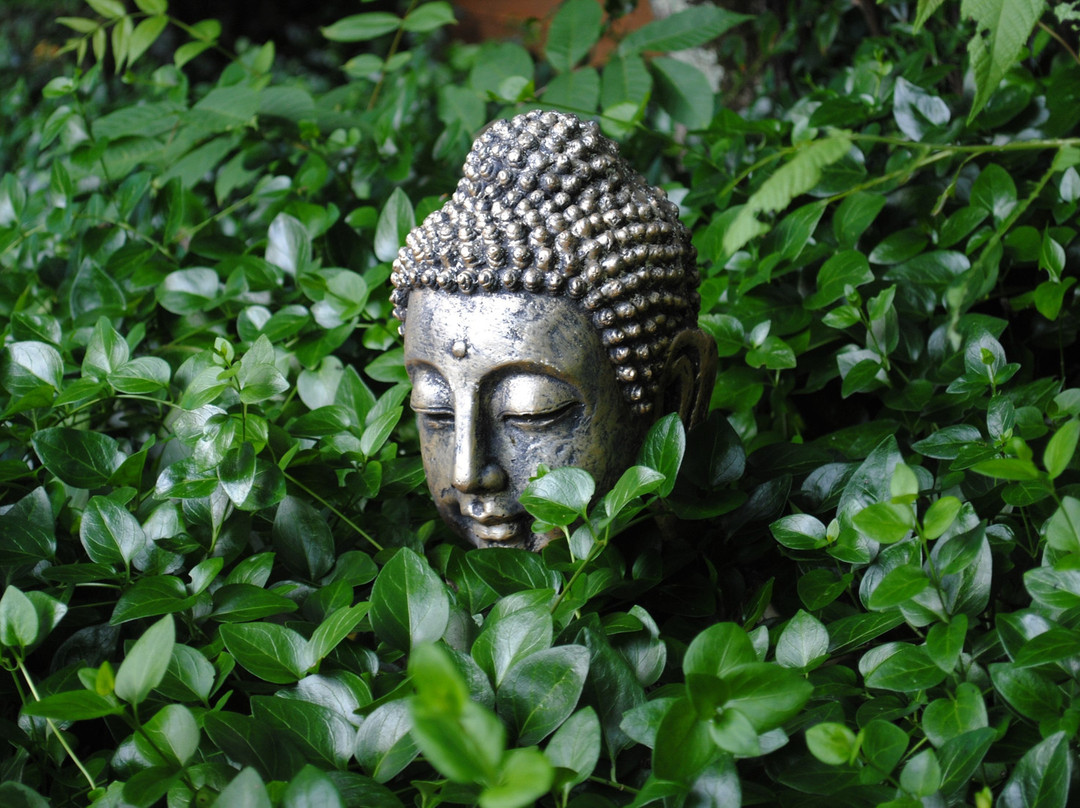 Grandview Lodge主图