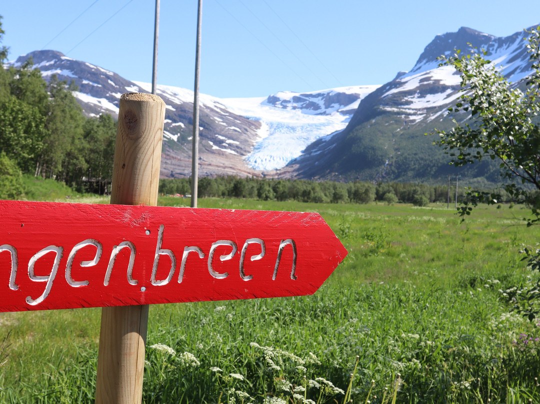 The Svartisen Glacier Austerdalsisen景点图片