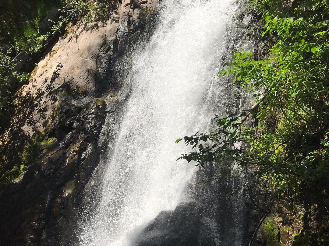 Falls Creek Falls Trail Head景点图片