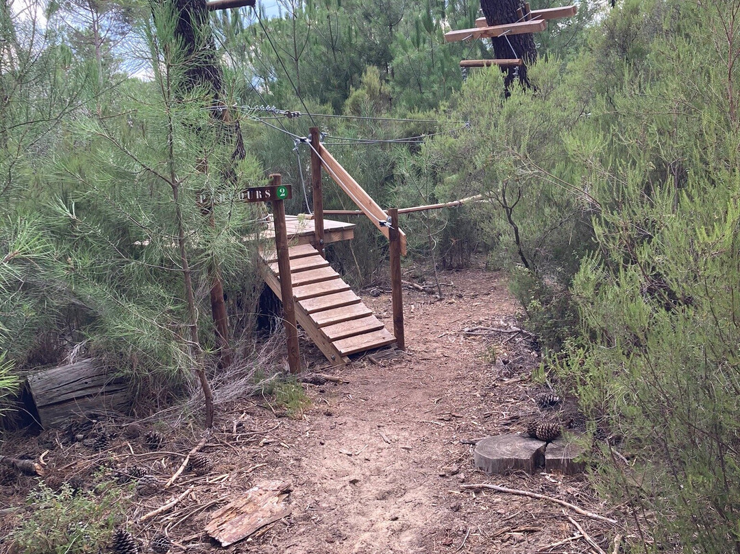 AIR DE NATURE parc aventure en forêt景点图片