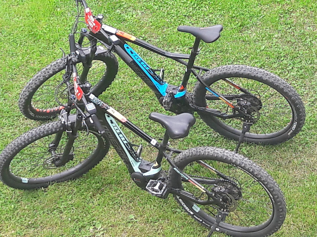 eBike Chamonix-霞慕尼必去景点