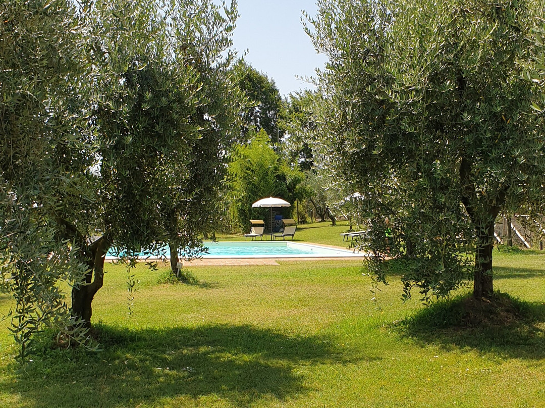 Podere Sant'Elena主图