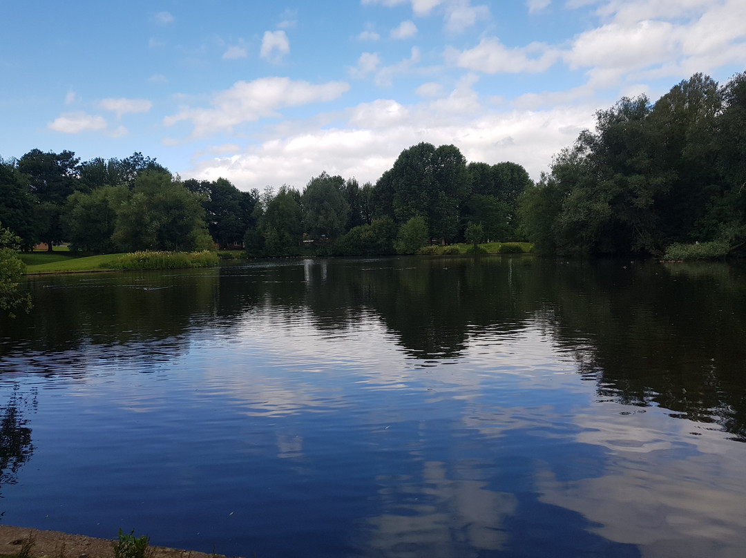 Kirk Hallam Lake & Meadow景点图片