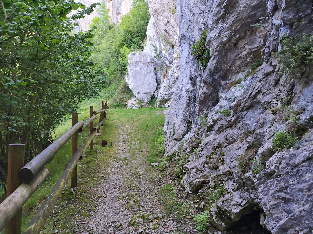 Cueva Covalanas景点图片