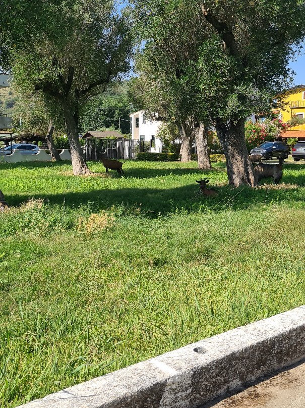 Hotel Residence Il Rifugio主图