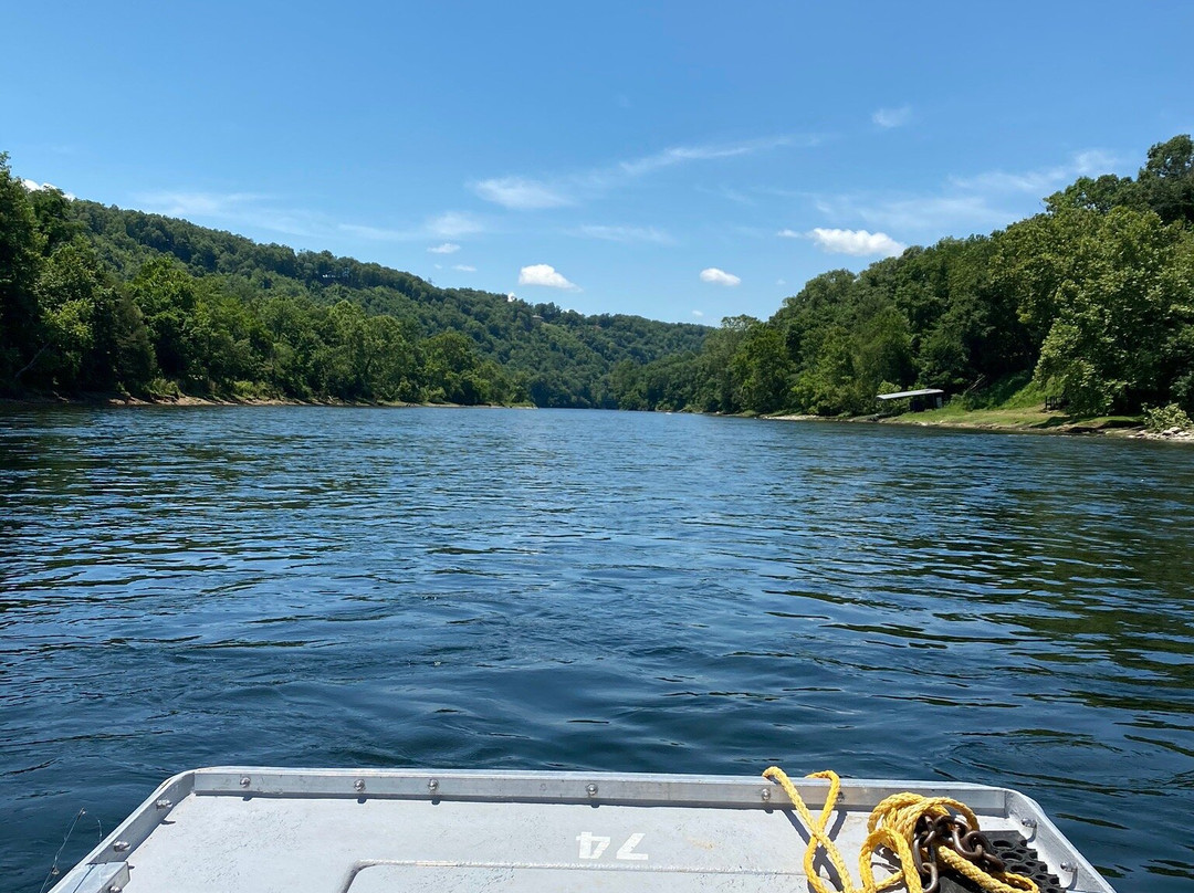 Gaston's White River Resort主图