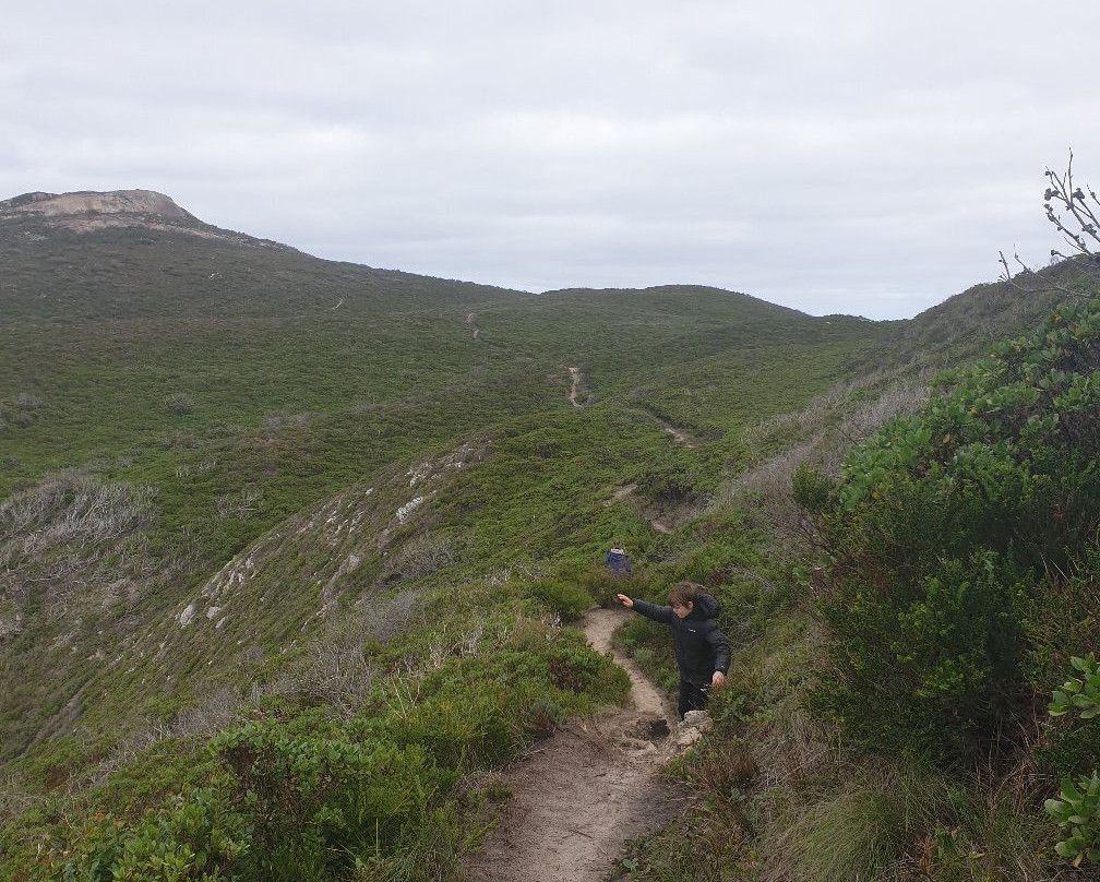 Stony Hill & Peak Head-奥尔巴尼必去景点