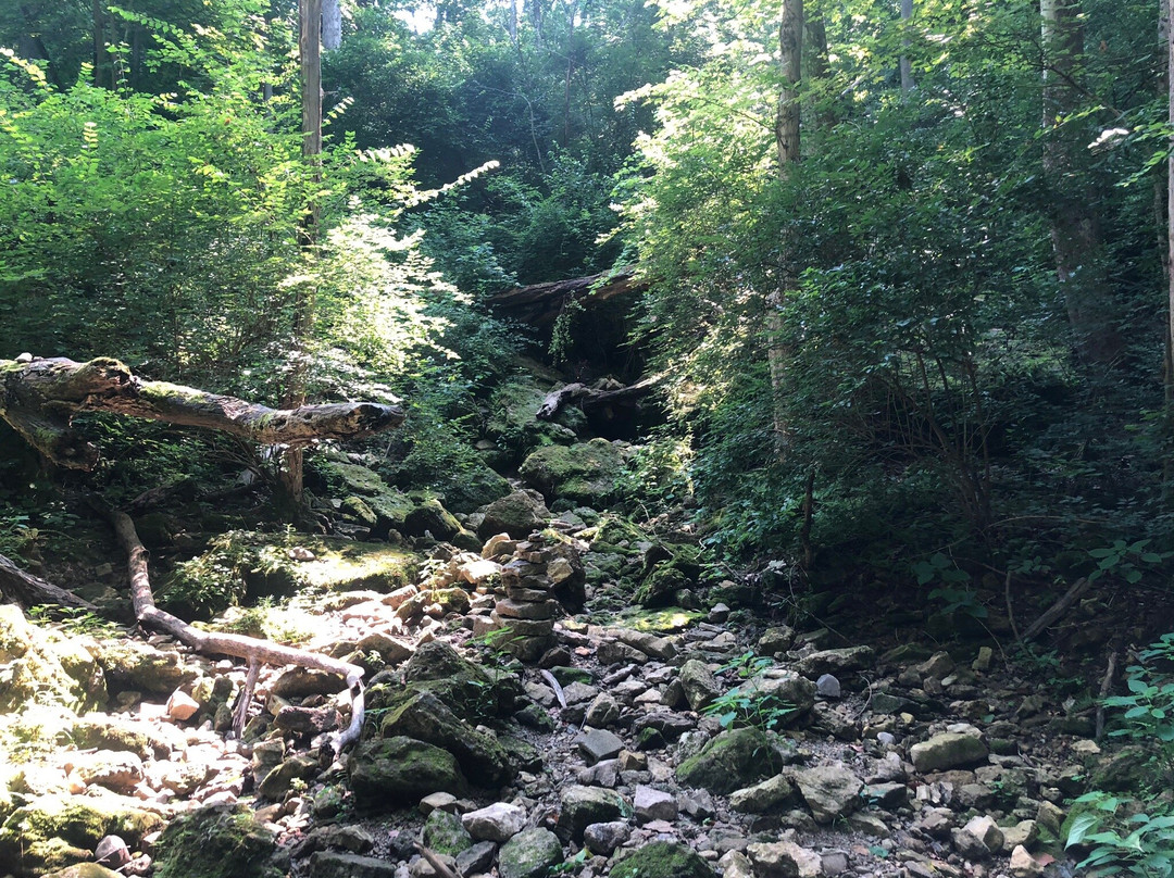 John Bryan State Park