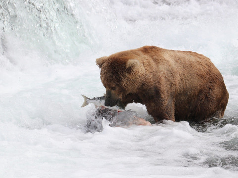Adventure Airways-荷马必去景点
