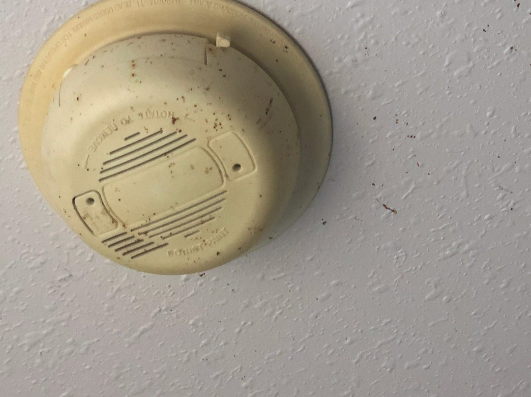 Iron Horse Inn主图