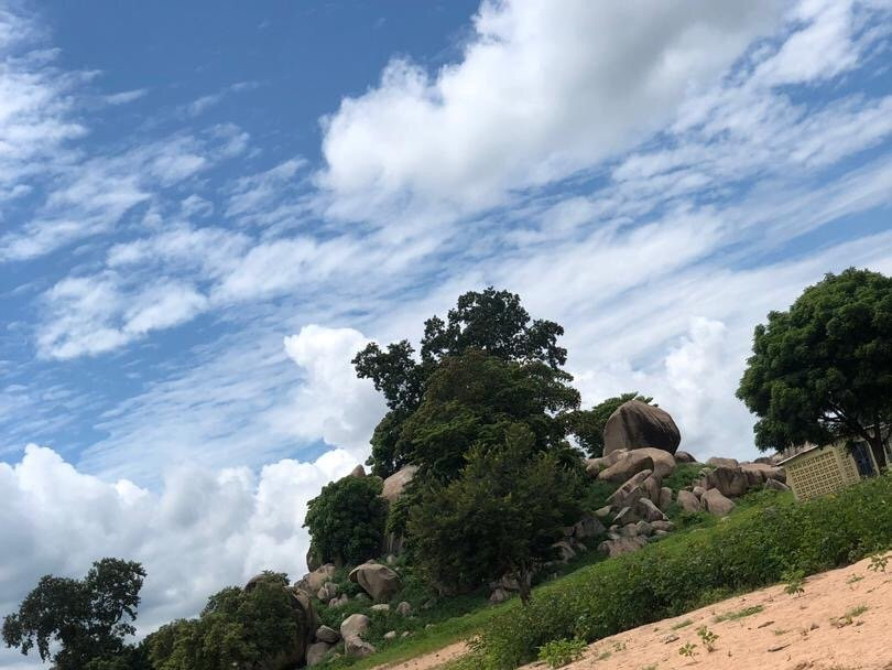 Benoue National Park-Ngaoundere必去景点