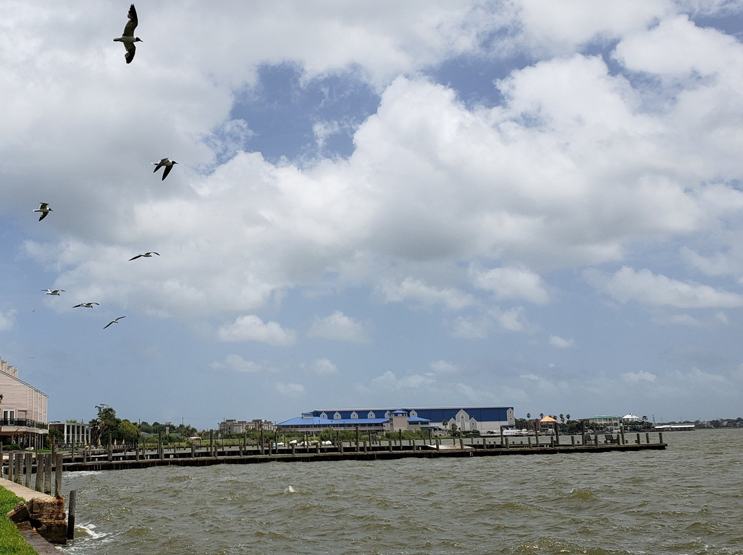 Beacon Hill Bed and Breakfast主图