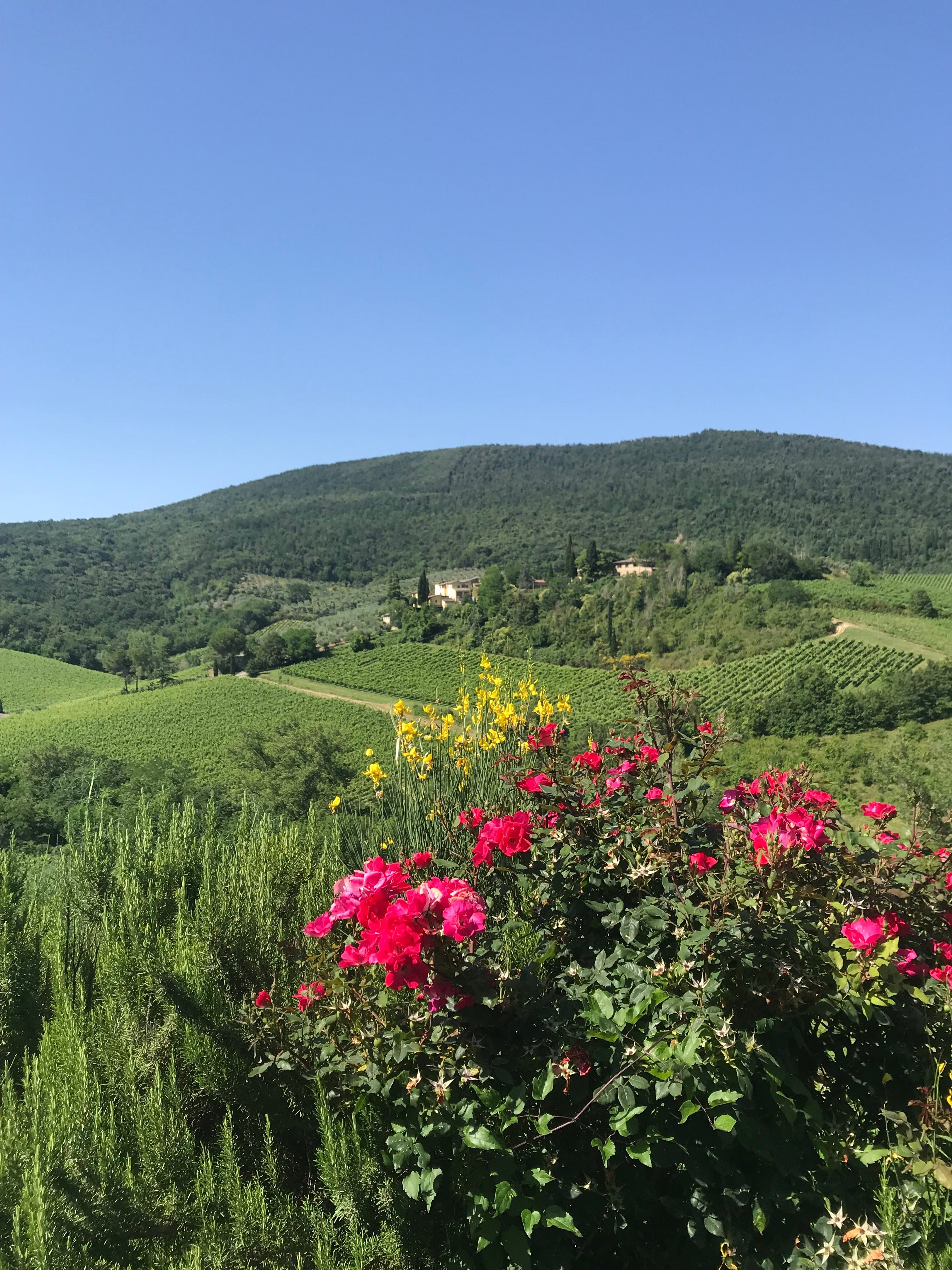Villa del Sole-浴室