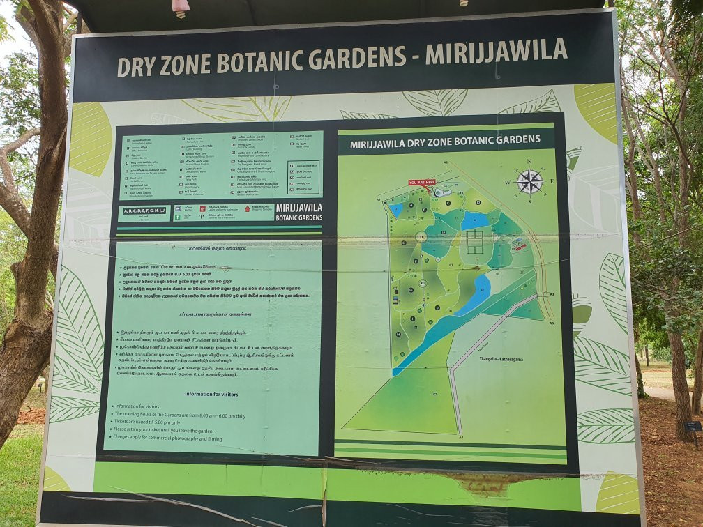 Dry Zone Botanic Gardens - Hambantota景点图片