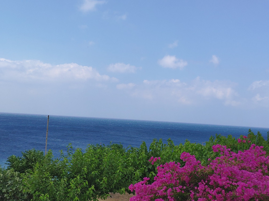 Villa Pitsa & George主图