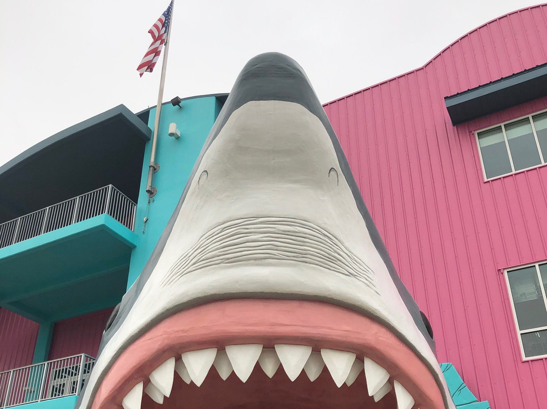 Sharkheads景点图片