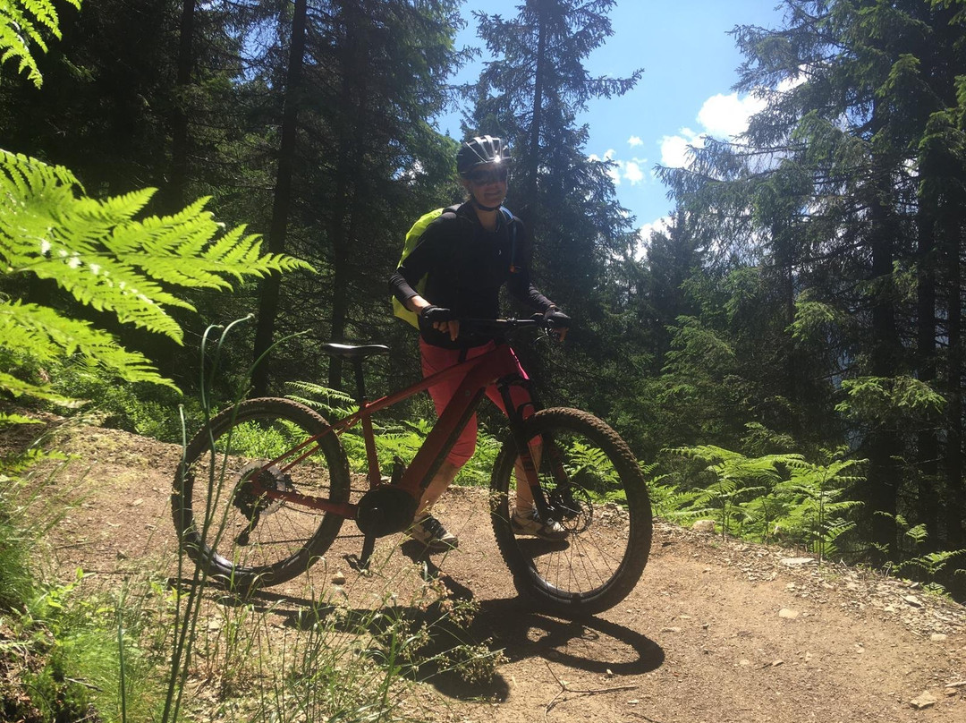 Hochkönig Bikeguide-穆尔溪至高王必去景点