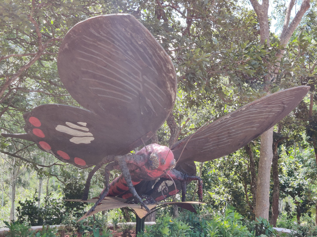Butterfly Park-班加罗尔必去景点