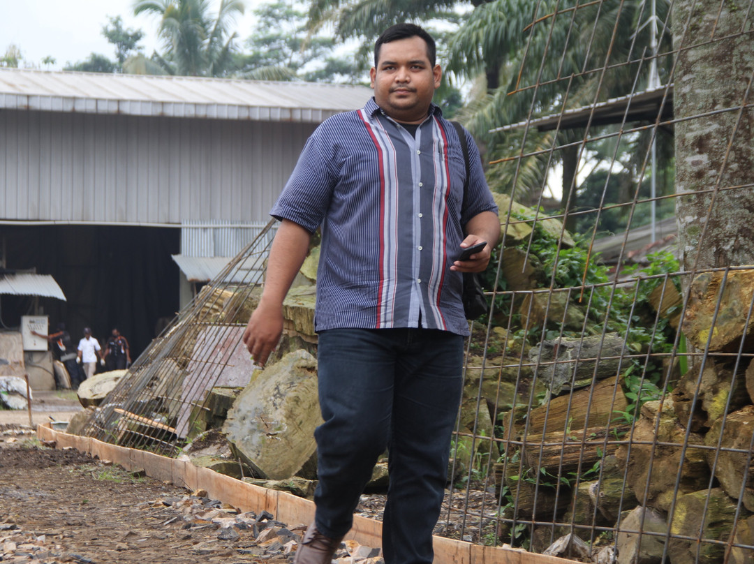 Petrified Wood Indonesia-茂物必去景点