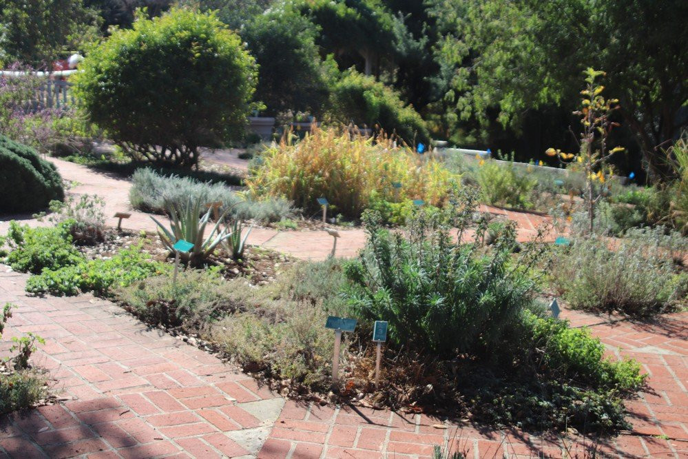 University of California Riverside Botanic Gardens景点图片