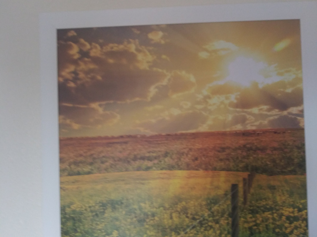 Days Inn by Wyndham Dyersburg主图