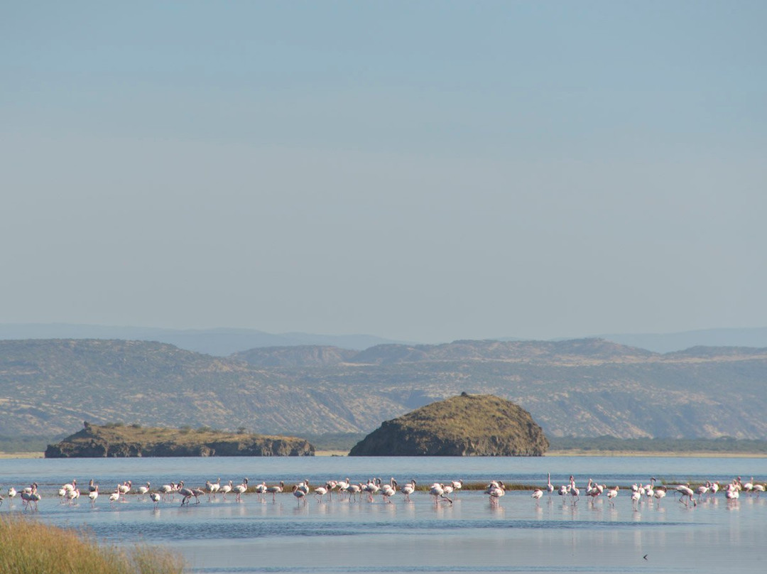 Exposed Africa-莫西必去景点