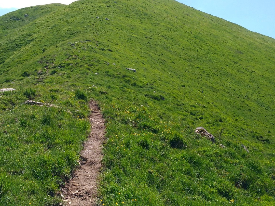 Maissana旅游攻略图片