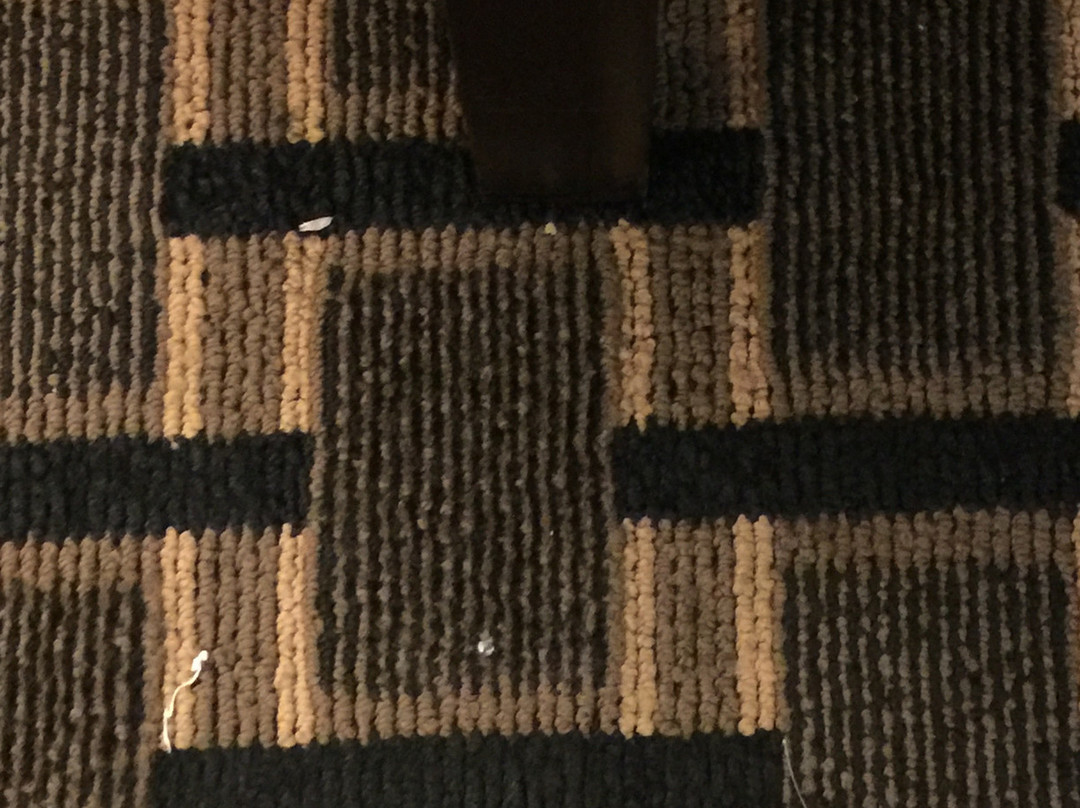 Hampton Inn & Suites Pine Bluff主图