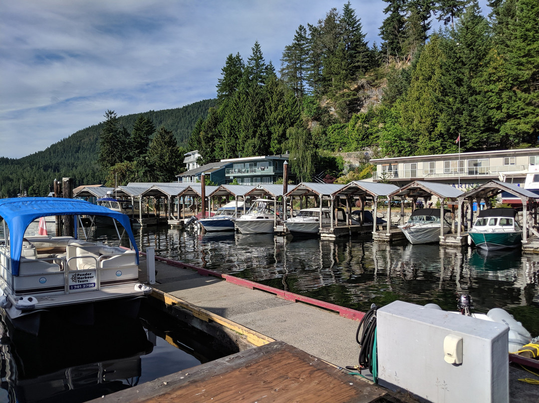 Nanaimo Yacht Charters & Sailing School-纳奈莫必去景点