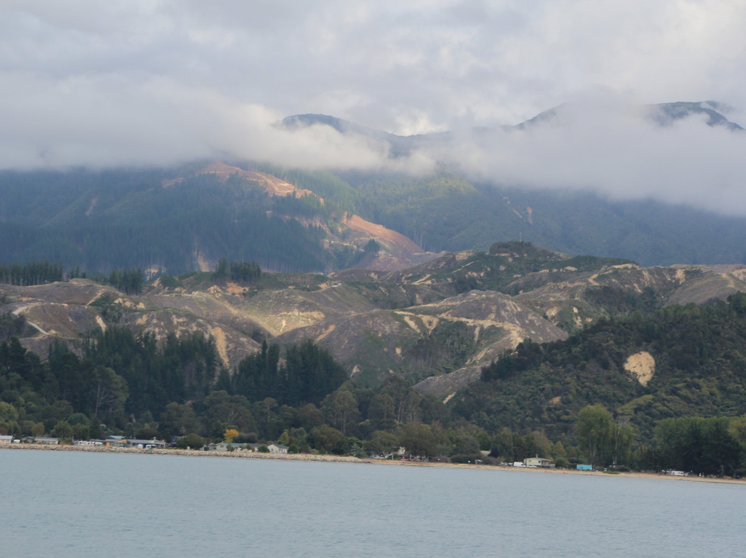 Tonga Island Marine Reserve-Abel Tasman National Park必去景点