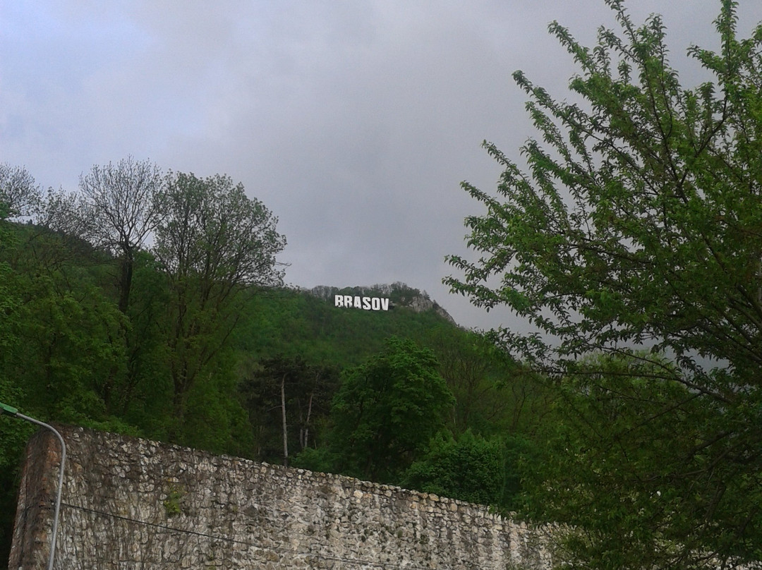 Brasov Historical Center景点图片