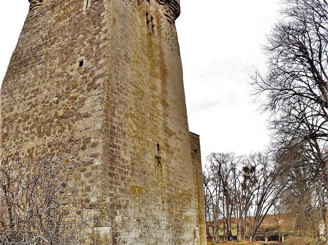 Domaine de Saint-Loup景点图片