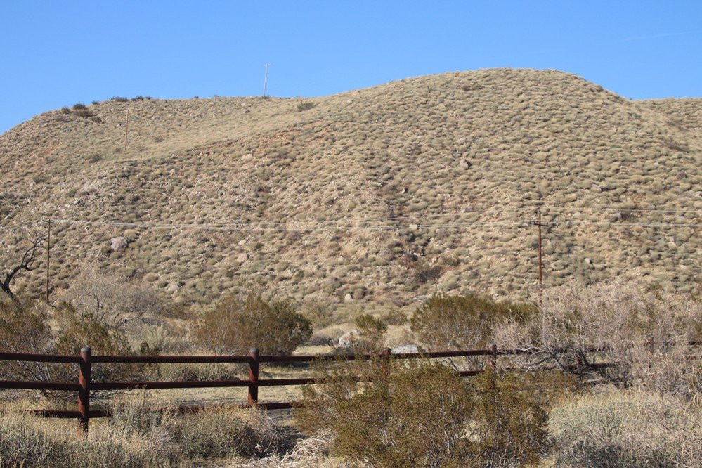 Mission Creek Preserve-沙漠温泉必去景点