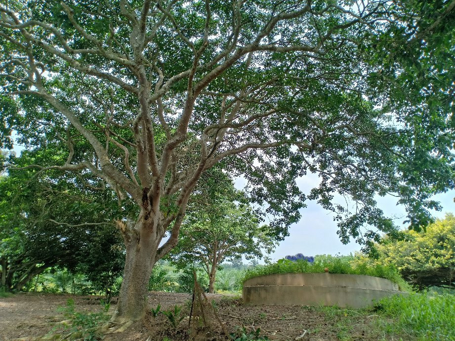 Sungai Lui War Memorial-Kampung Baharu Sungai Lui必去景点